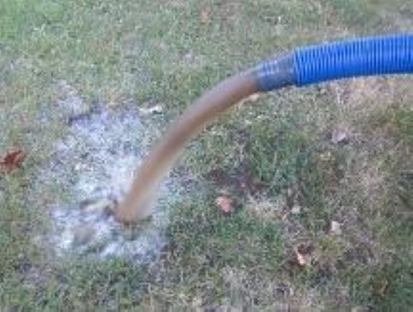 carpet cleaning clayton mo