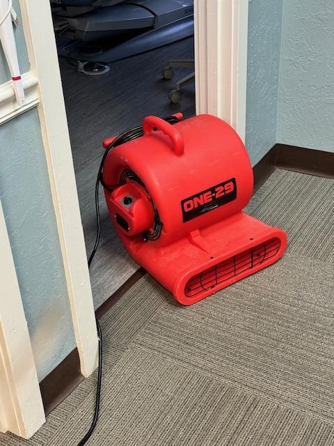 carpet cleaners clayton