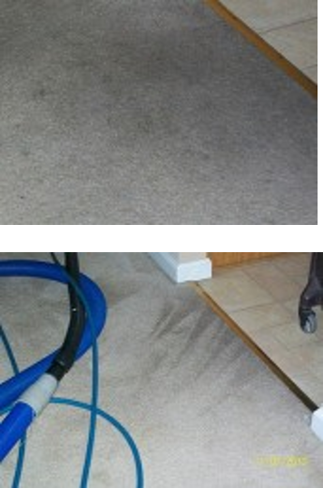 carpet cleaning Clayton MO