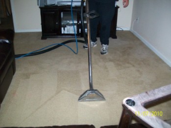 carpet cleaning clayton