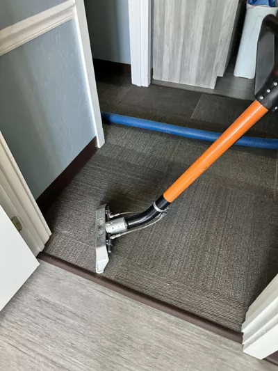 clayton carpet cleaning