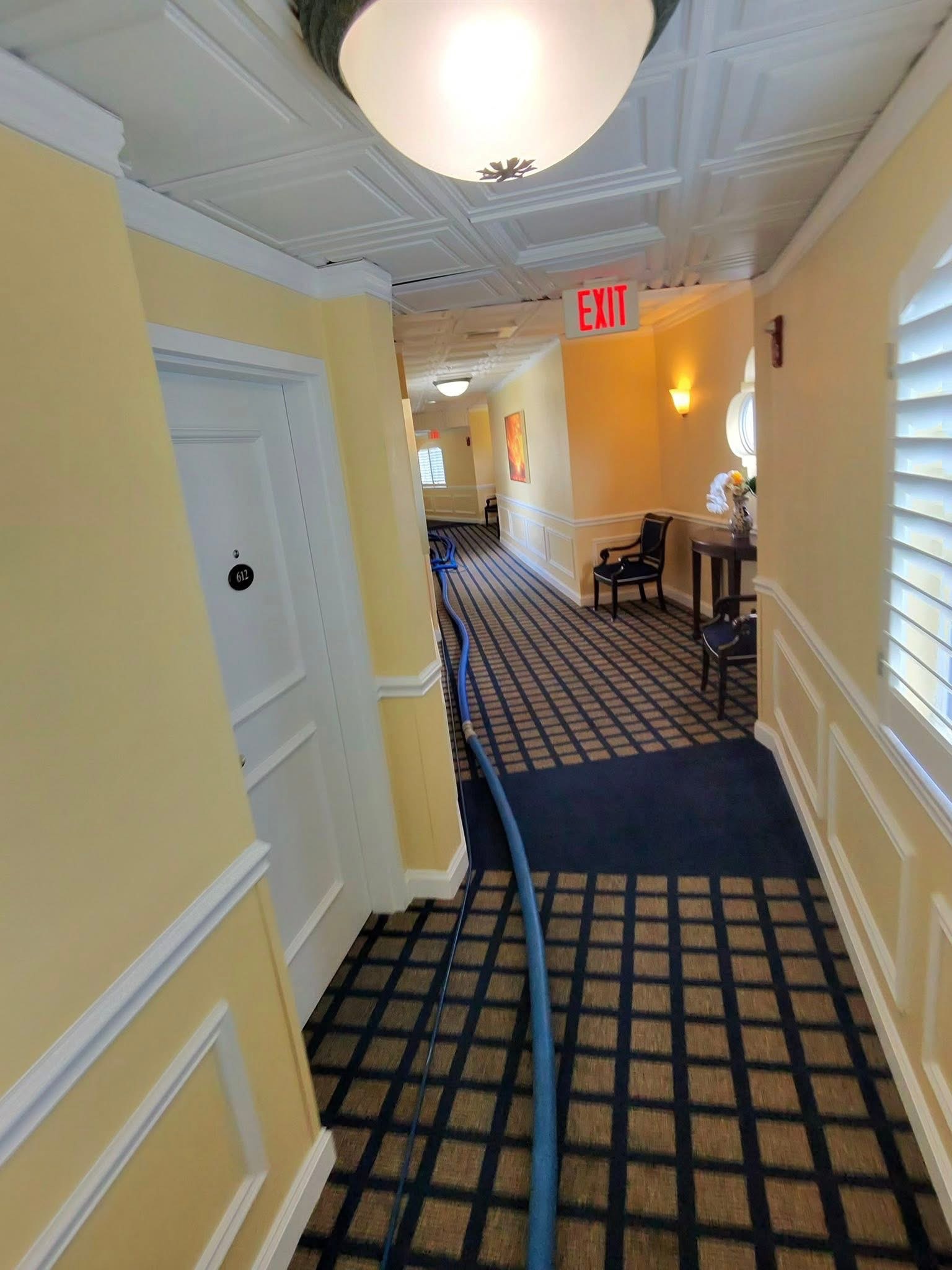 carpet cleaning clayton