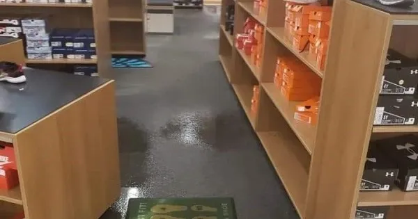 water damage cleanup Clayton MO