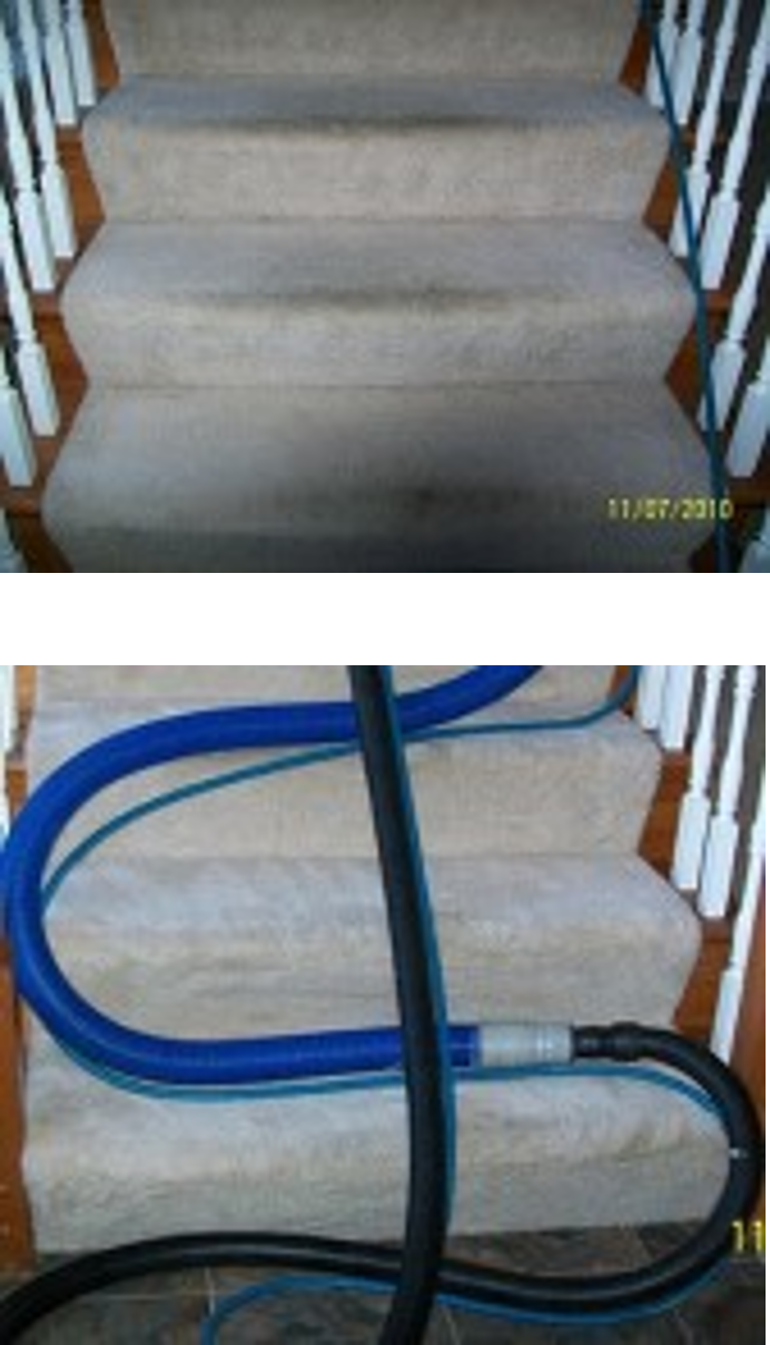 carpet cleaning clayton